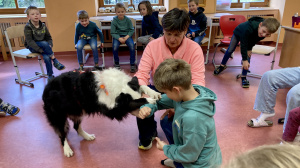 20251103_090826788_iOS