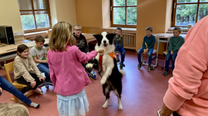 20251103_090846652_iOS