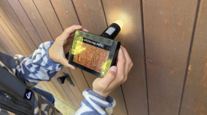 IMG_3316