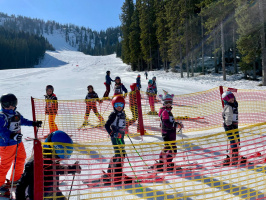 20260320_114741355_iOS